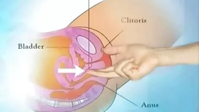 ស្គមស្គាំងខ្មៅសក់ fucked ដោយបុរសម្នាក់ដែលមានជាតិខ្លាញ់